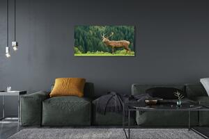 Obraz na plátne Jeleň v poli 100x50 cm