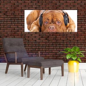 Obraz psa so slúchadlami (120x50 cm)
