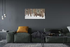 Obraz na plátne Jeleň zimné les 100x50 cm