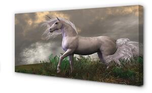 Obraz canvas Unicorn mraky 100x50 cm