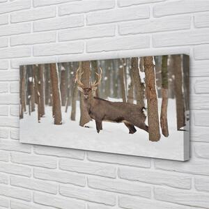 Obraz na plátne Jeleň zimné les 100x50 cm