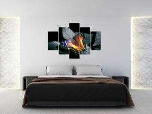 Obraz motýľa (150x105 cm)