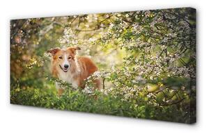 Obraz na plátne Psie lesné kvety 100x50 cm