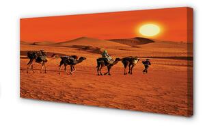Obraz canvas Ťavy ľudí púštne slnko neba 100x50 cm