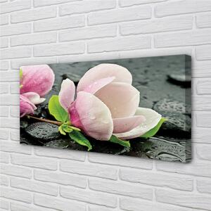 Obraz canvas Magnolia kamene 100x50 cm