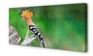 Obraz na plátne Strom farebný papagáj 100x50 cm