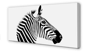 Obraz na plátne ilustrácie zebra 100x50 cm