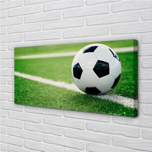 Obraz canvas futbalový trávnik 100x50 cm