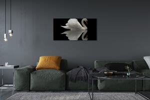 Obraz na plátne Swan v noci 100x50 cm
