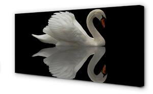Obraz na plátne Swan v noci 100x50 cm