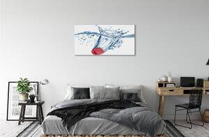Obraz canvas malina voda 100x50 cm