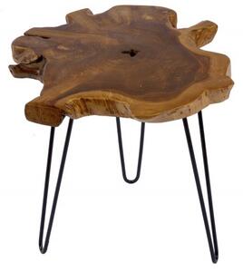 Estila Dizajnový moderný odkladací stolík z kmeňa stromu Wild 55cm