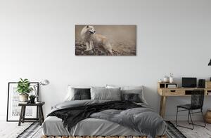 Obraz na plátne vlk hory 100x50 cm