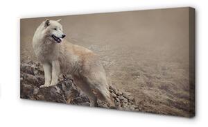 Obraz na plátne vlk hory 100x50 cm