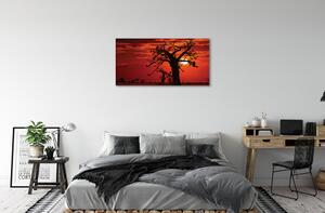 Obraz canvas Stromy oblohy oblačno 100x50 cm