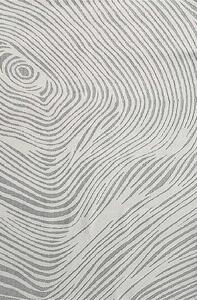 TZ Sivý obdĺžnikový pruhovaný koberec Strado Polo Cloud vzor zebra Rozmer: 120x170 cm