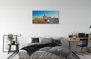 Obraz na plátne zebra kvety 100x50 cm