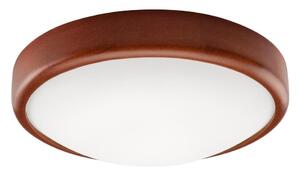 LED Stropné svietidlo LED/12W/230V