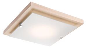 LED stropné svietidlo LED/12W/230V buk