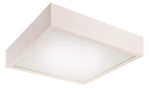 Stropné svietidlo 2xE27/60W/230V