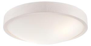 Stropné svietidlo MEDA 2xE27/60W/230V