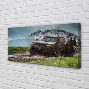 Obraz canvas Auto Field hory mraky 100x50 cm