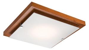 LED stropné svietidlo LED/12W/230V