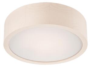 LED stropné svietidlo LED/12W/230V