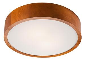 LED stropné svietidlo LED/24W/230V