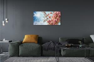 Obraz canvas Magnólie neba slnko 100x50 cm