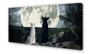 Obraz na plátne Wolves mesiac lesné 100x50 cm