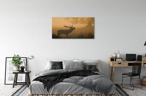 Obraz na plátne jeleň sunrise 100x50 cm