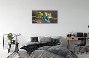 Obraz na plátne Vtáky na vetve 100x50 cm