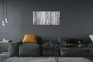 Obraz canvas Čierna a biela breza 100x50 cm