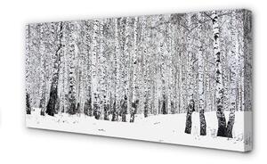 Obraz canvas zimný brezy 100x50 cm