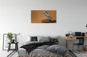 Obraz na plátne Vták 100x50 cm