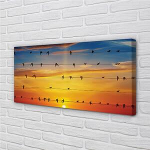Obraz na plátne Vtáky na lanách západu slnka 100x50 cm