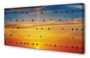 Obraz na plátne Vtáky na lanách západu slnka 100x50 cm