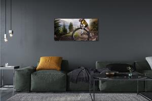 Obraz canvas Cloud na horskom bicykli 100x50 cm