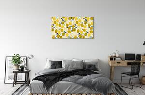 Obraz canvas citróny 100x50 cm