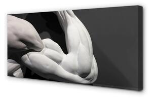 Obraz canvas Sval black and white 125x50 cm