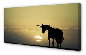 Obraz na plátne Pole sunset jednorožec 100x50 cm