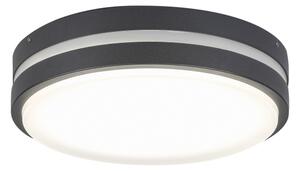 Rabalux 8847 - LED Vonkajšie nástenné svietidlo HAMBURG LED/10W/230V IP44