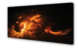 Obraz canvas ohnivý drak 100x50 cm