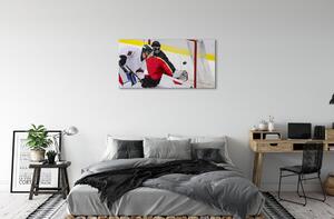 Obraz canvas brána hokej 100x50 cm