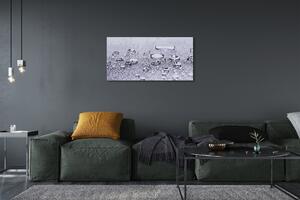 Obraz canvas Vodné kvapky makro 100x50 cm