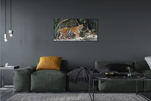 Obraz na plátne tiger džungle 100x50 cm