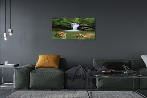 Obraz na plátne vodopád tigre 100x50 cm