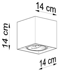 Bodové svietidlo VALDE 1xGU10/40W/230V