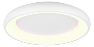STROPNÉ LED SVIETIDLO, 62/10 cm Trio Leuchten - Interiérové svietidlá